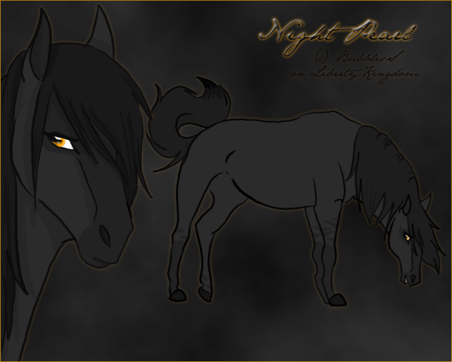 Creation d'une amie Night_10