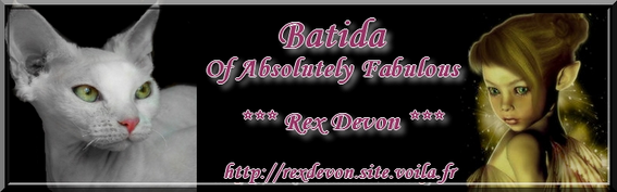 Devon rex, Batida Bannie10