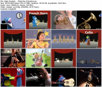 Baby Einstein - Meet the Orchestra: First Instruments - DVDrip XVID 36693710