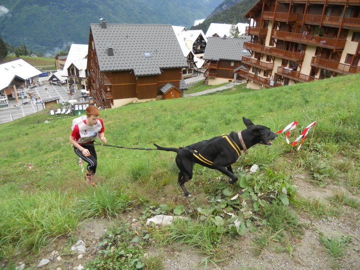 [Canicross] Trophée Des Montagnes 2011 29957410