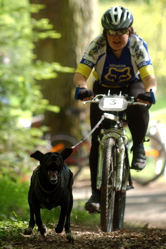 Le team "des chiens, des sport, une seule passion" Dsc_0210