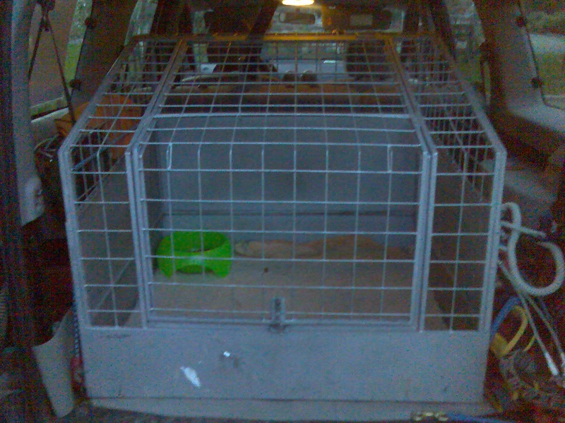 Cage de transport Photo010
