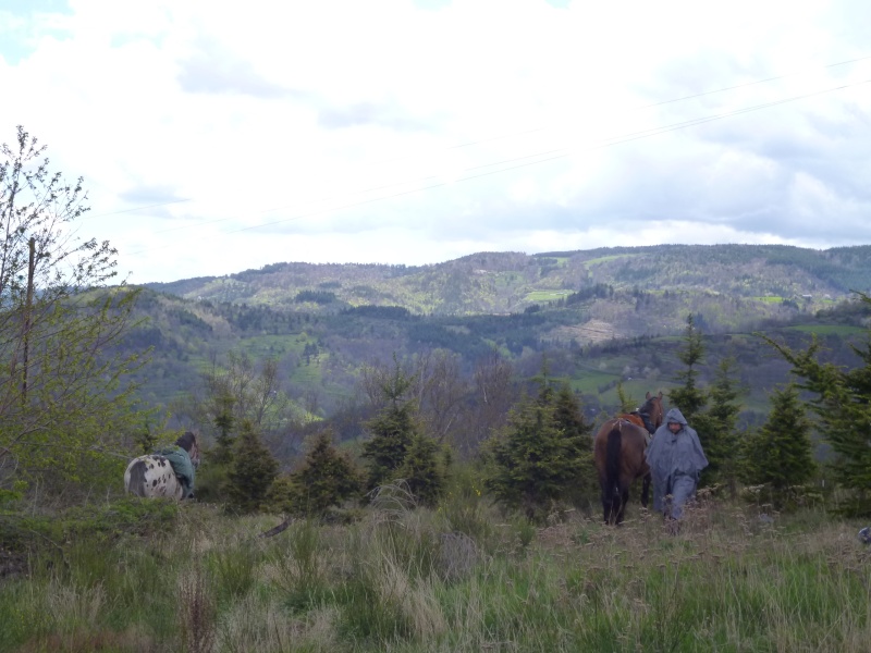 Les beautés du Haut-Vivarais (07) Ardach18