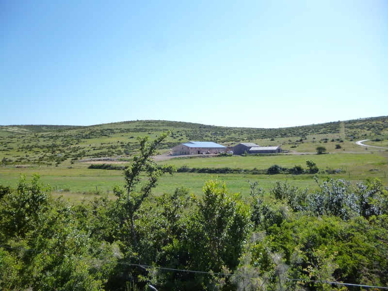 6 jours en Lozère (printemps 2012) Lozare68