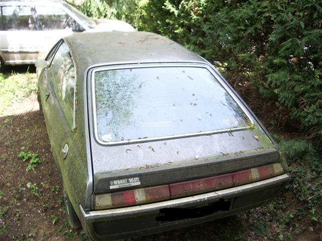 qu'est ce que j aime le limousin Imgp9110