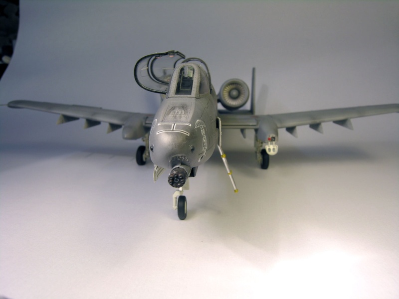 [Hobby Boss] 1/48 - Fairchild A-10 N/AW Thunderbolt II (Warthog)  - Page 8 Dscn1824