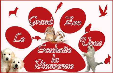 Le Grand Zoo : Pour la protection des animaux Bienve10