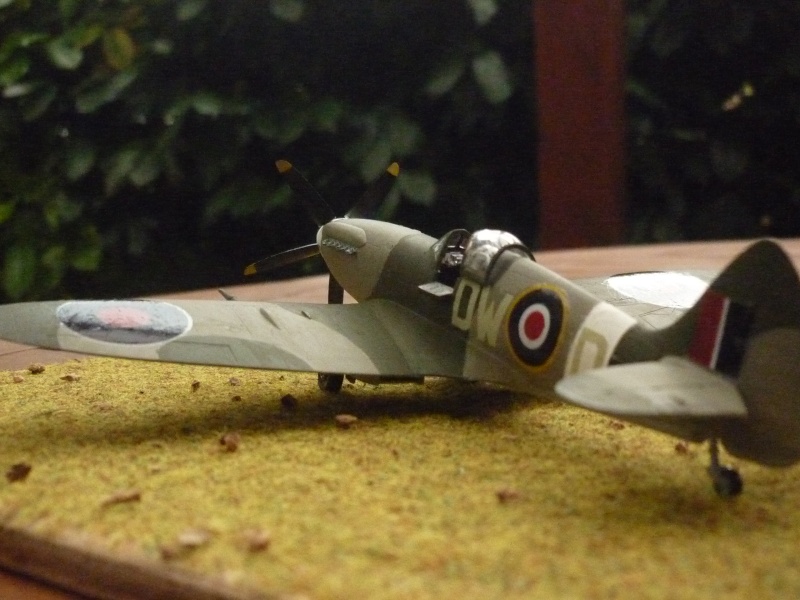 [Première] Spitfire MK.XIVc au 1/72nd P1020911