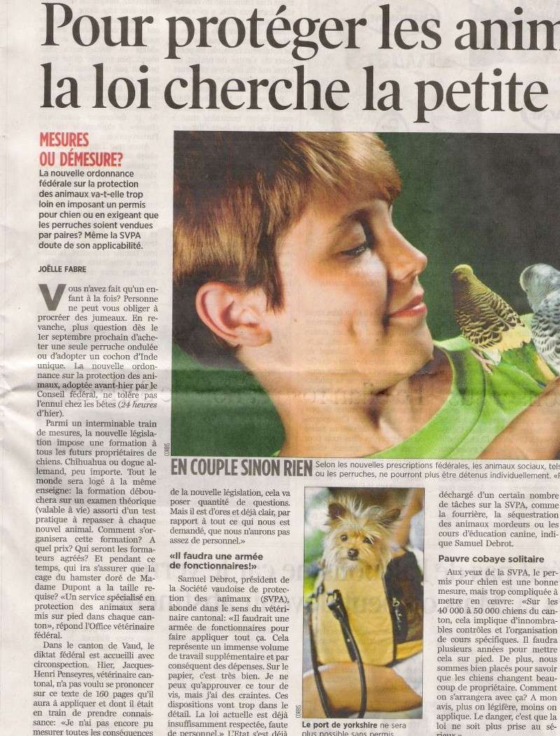 24 Heures du 25 avril 2008 " Pour protger les animaux, la loi cherche la petite bte" 24heur13