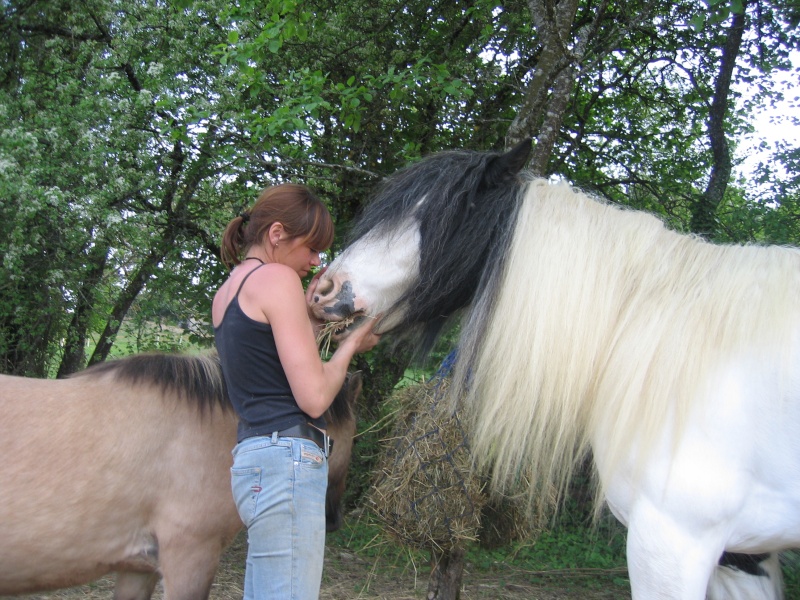 Une photo de vous et votre cheval - Page 2 3-05-010