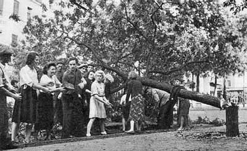 Août 1944 à paris Femmes13