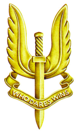 Insignes des unités US Insign29