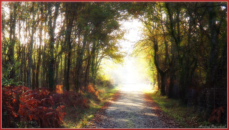 Deuxième échantillon de mes contributions à Pixpopuli Chemin11