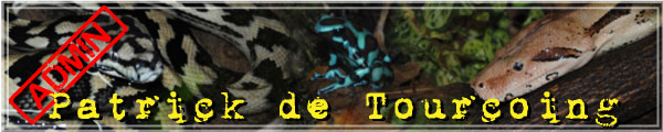 quel lampropeltis est-ce ? Signat20
