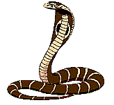 le cobra royal 7713