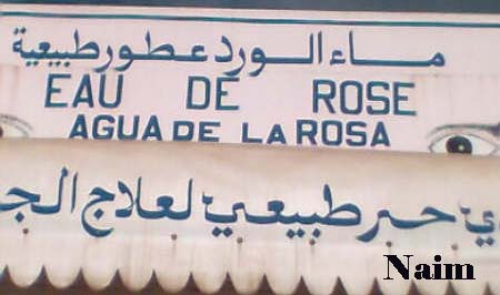 Région Dadès .. Les fleures du Maroc Rosa010
