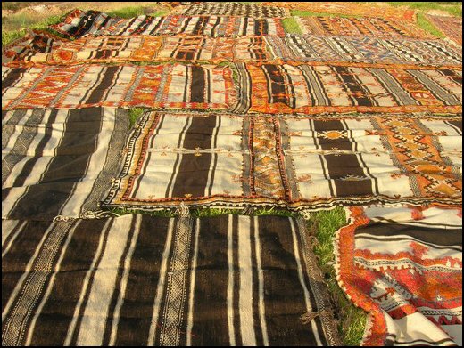 "Tazarbite".. tapis berbère et l'art du tissage Tapis112
