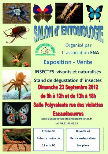 salon d'entomologie le 23 septembre 2012 Escaudoeuvres Entomo10