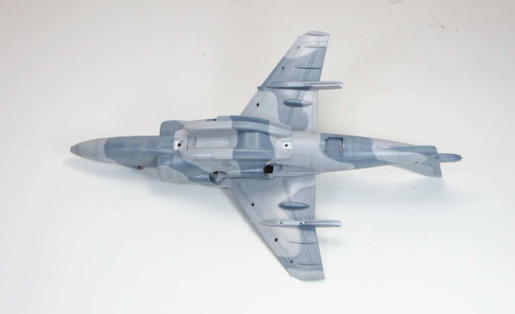 AV8B HarrierII Hasegawa 1/72 finex 01414