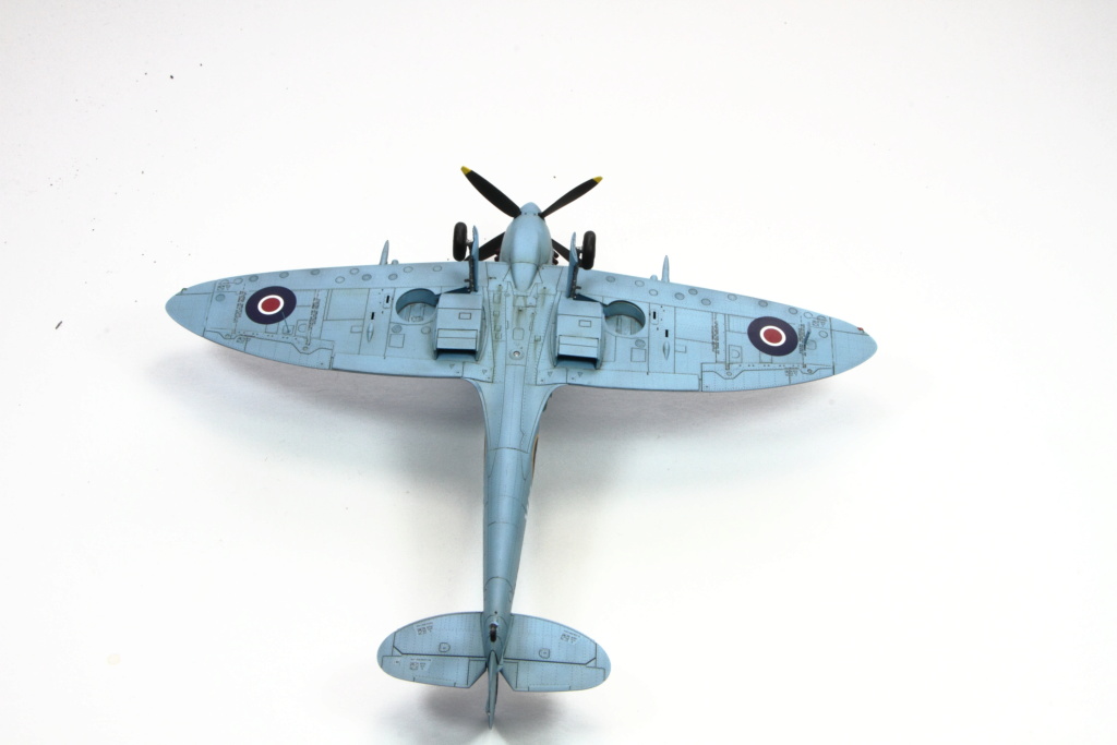 Spitfire MkXVI Eduard 1/72 02312