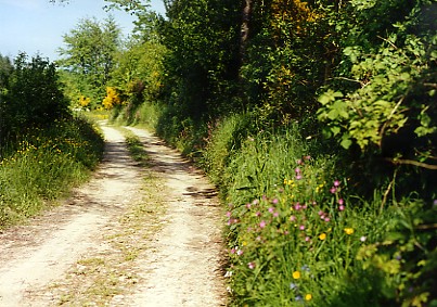 perdu en transalp ... Chemin10