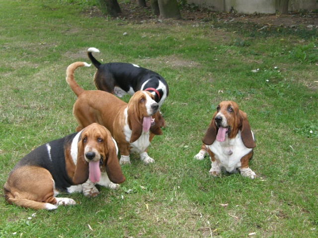 mini babrencontre dans le nord Juille12