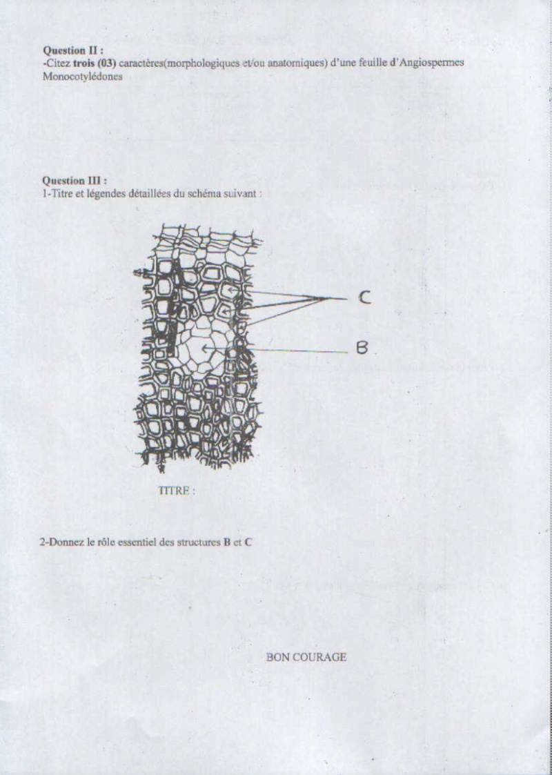 BIOLOGIE VÉGÉTALE  ( BV ) Swscan28