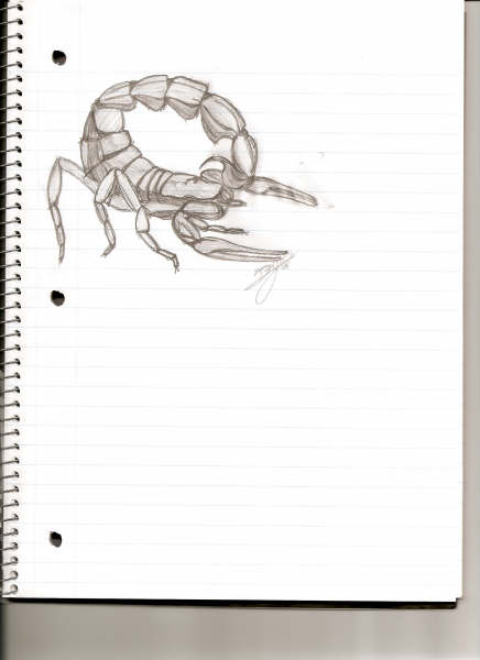 ScorpionForum Art Contest Scorpi10