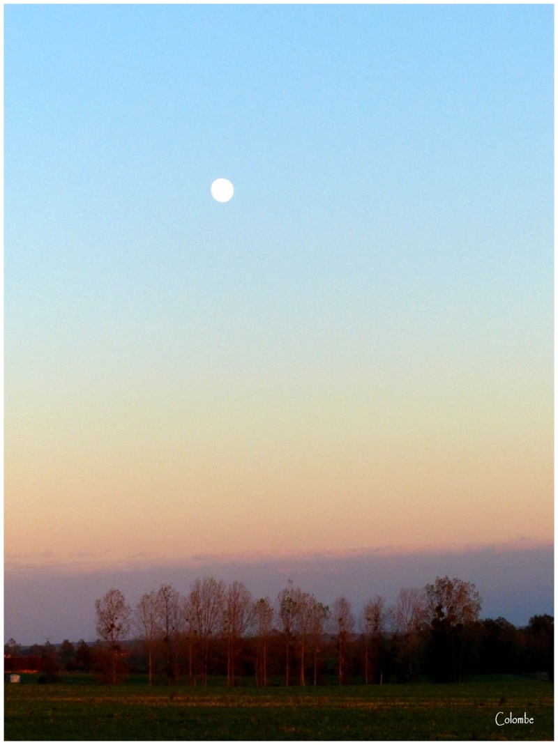 Entre lever de lune et coucher de soleil Leva_d11