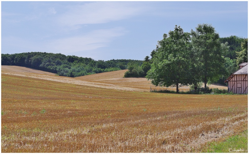 Encore un petit paysage champenois... Sortie10