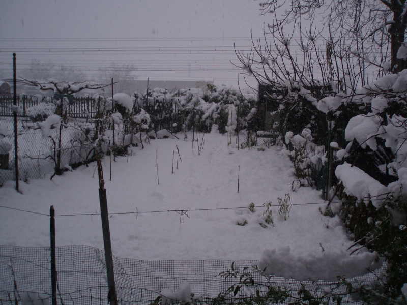 Nevicata Chieti Scalo 15-16 dicembre 2007 Neve_113