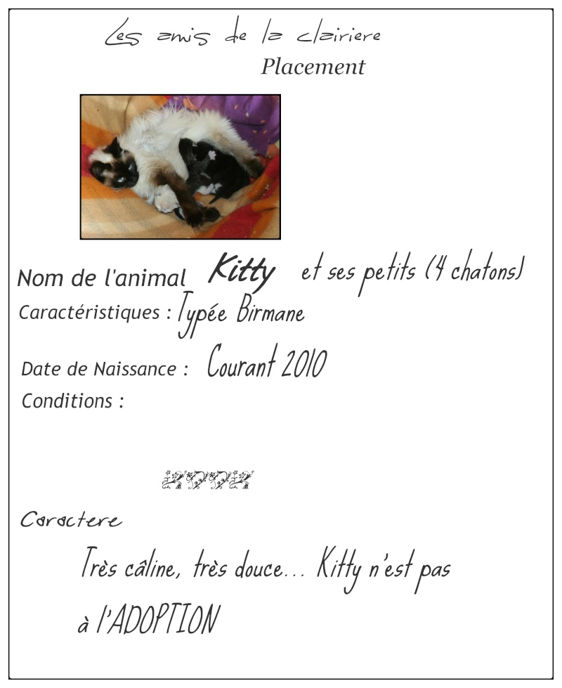 Kitty et ses chatons (nés fin avril 2012) Fichef63