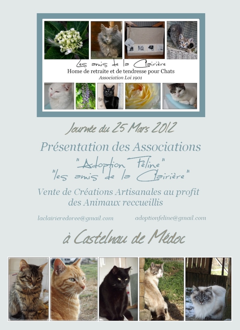 Journée à Castelnau de Médoc... le 25 mars 2012 - Page 2 Prasen11