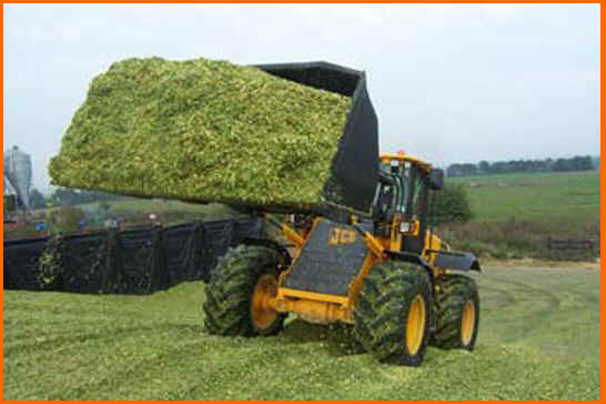     Silage10