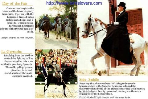 الخيل رمز الجمال والقوة