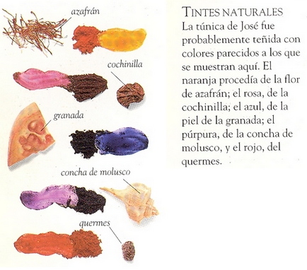Actividad textil - Tintes Tintes10