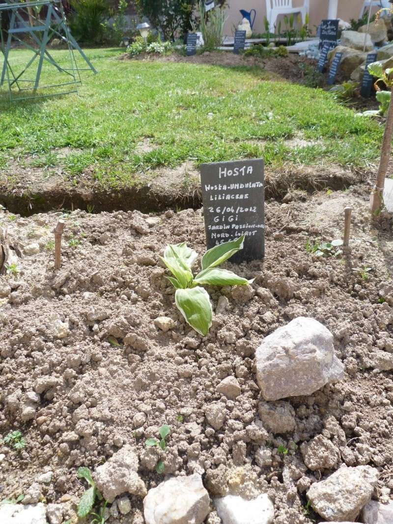 Album photo  du jardin des poëtes - Page 3 P1090761