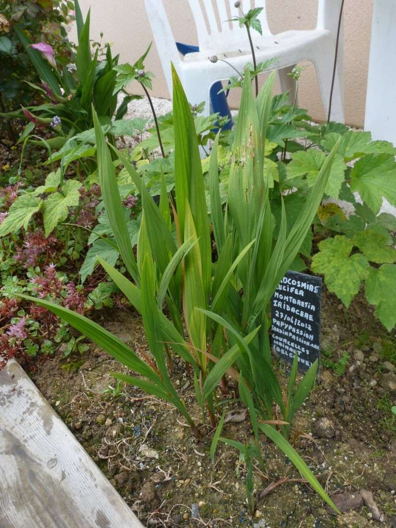 Album photo  du jardin des poëtes - Page 19 P1150617