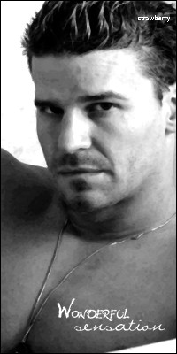 David Boreanaz 324