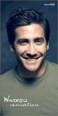 Jake Gyllenhaal 342