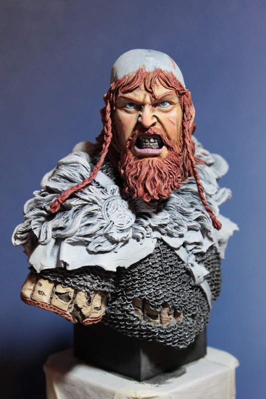 Viking fury Photo_15