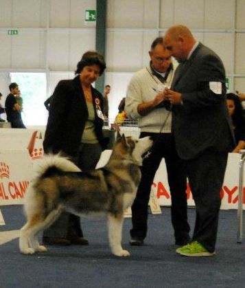 Raduno ed internazionale bastia umbra 8-9/10/2011 Grace110