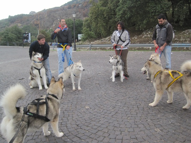 Dog Trekking dei Monti Sicani Img_3711