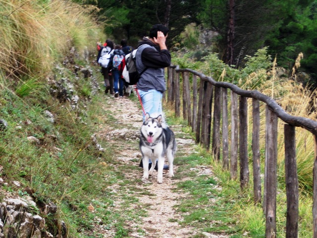 Dog Trekking dei Monti Sicani Img_3713