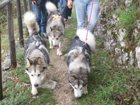 Dog Trekking dei Monti Sicani Img_3714