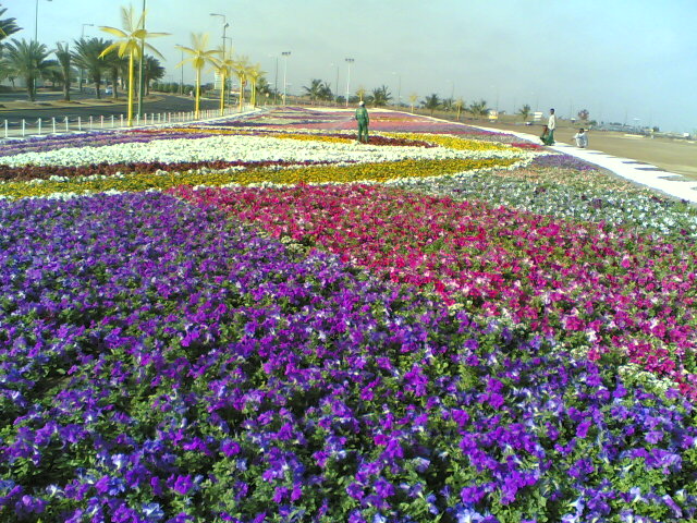 معرض الزهور Image310