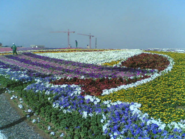 معرض الزهور Image313