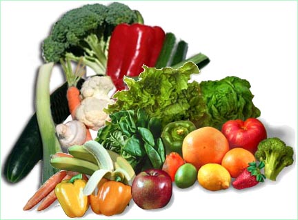 Agricultura Biológica Verdur10