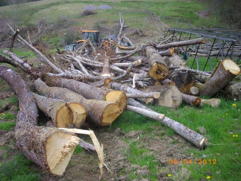 Abattage et débardage ce matin Bois2010