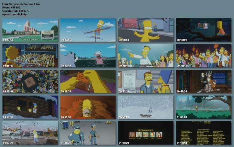 Simpsons The Movie (2007)DVDrip - TR Altyaz Sfwo510